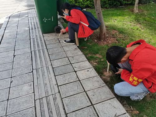 微信图片_202011061435375.jpg