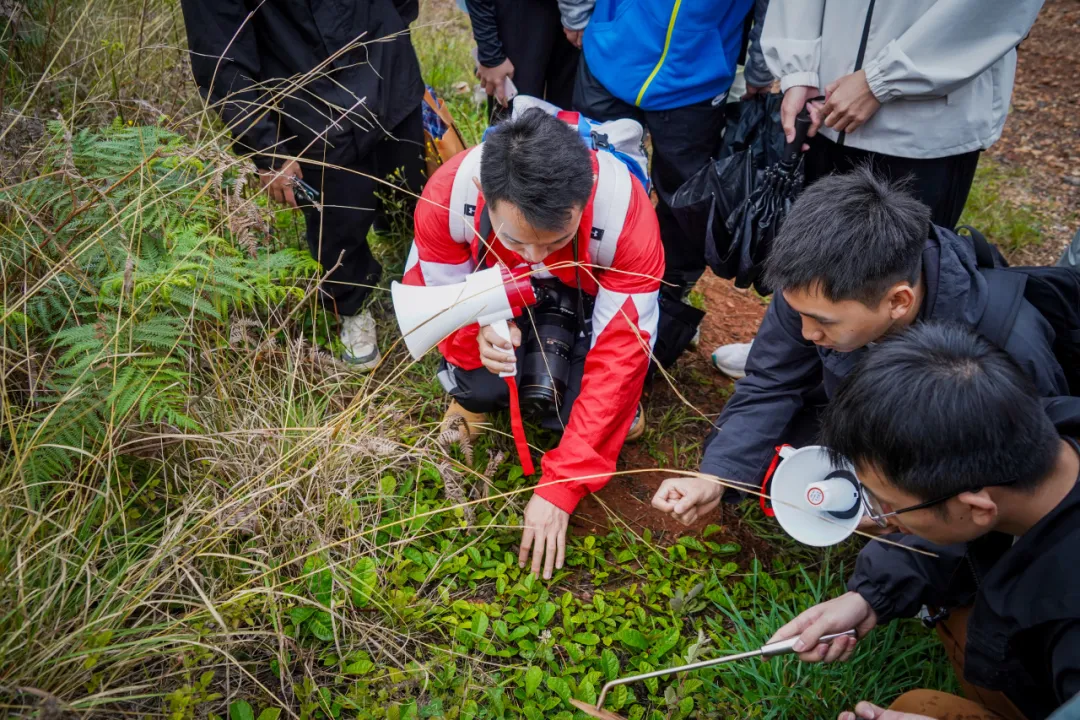 把课堂搬进山间，他们还带回来这些东西... 第 4 张