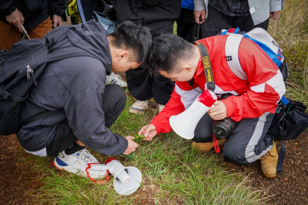 把课堂搬进山间，他们还带回来这些东西... 第 5 张