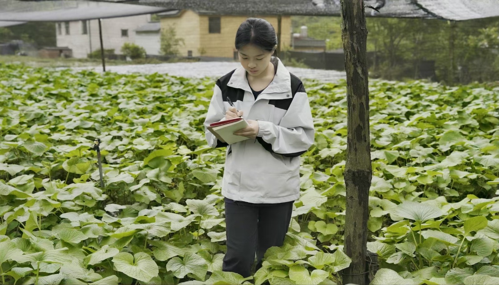 太上头了🤤,这个蘸料经管人研发的! 第 17 张 太上头了🤤,这个蘸料经管人研发的! 第 17 张