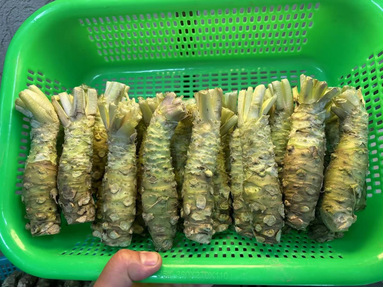 太上头了🤤,这个蘸料经管人研发的! 第 24 张 太上头了🤤,这个蘸料经管人研发的! 第 24 张