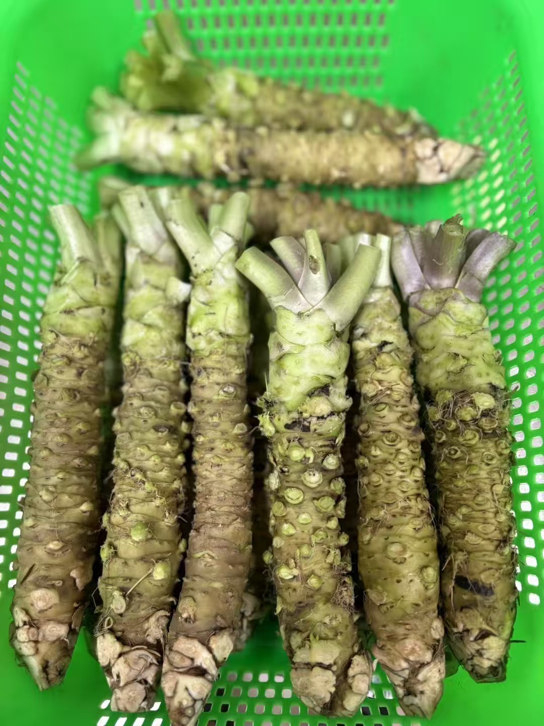 太上头了🤤,这个蘸料经管人研发的! 第 23 张 太上头了🤤,这个蘸料经管人研发的! 第 23 张