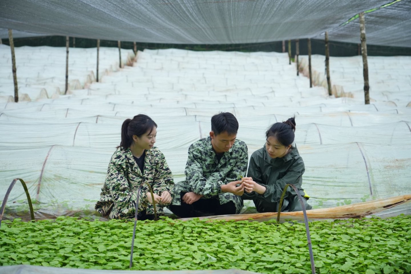太上头了🤤,这个蘸料经管人研发的! 第 2 张 太上头了🤤,这个蘸料经管人研发的! 第 2 张