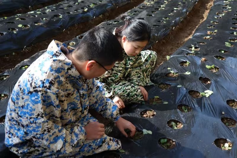 太上头了🤤,这个蘸料经管人研发的! 第 14 张 太上头了🤤,这个蘸料经管人研发的! 第 14 张