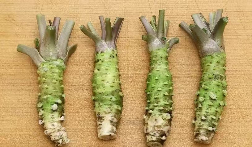 太上头了🤤,这个蘸料经管人研发的! 第 18 张 太上头了🤤,这个蘸料经管人研发的! 第 18 张