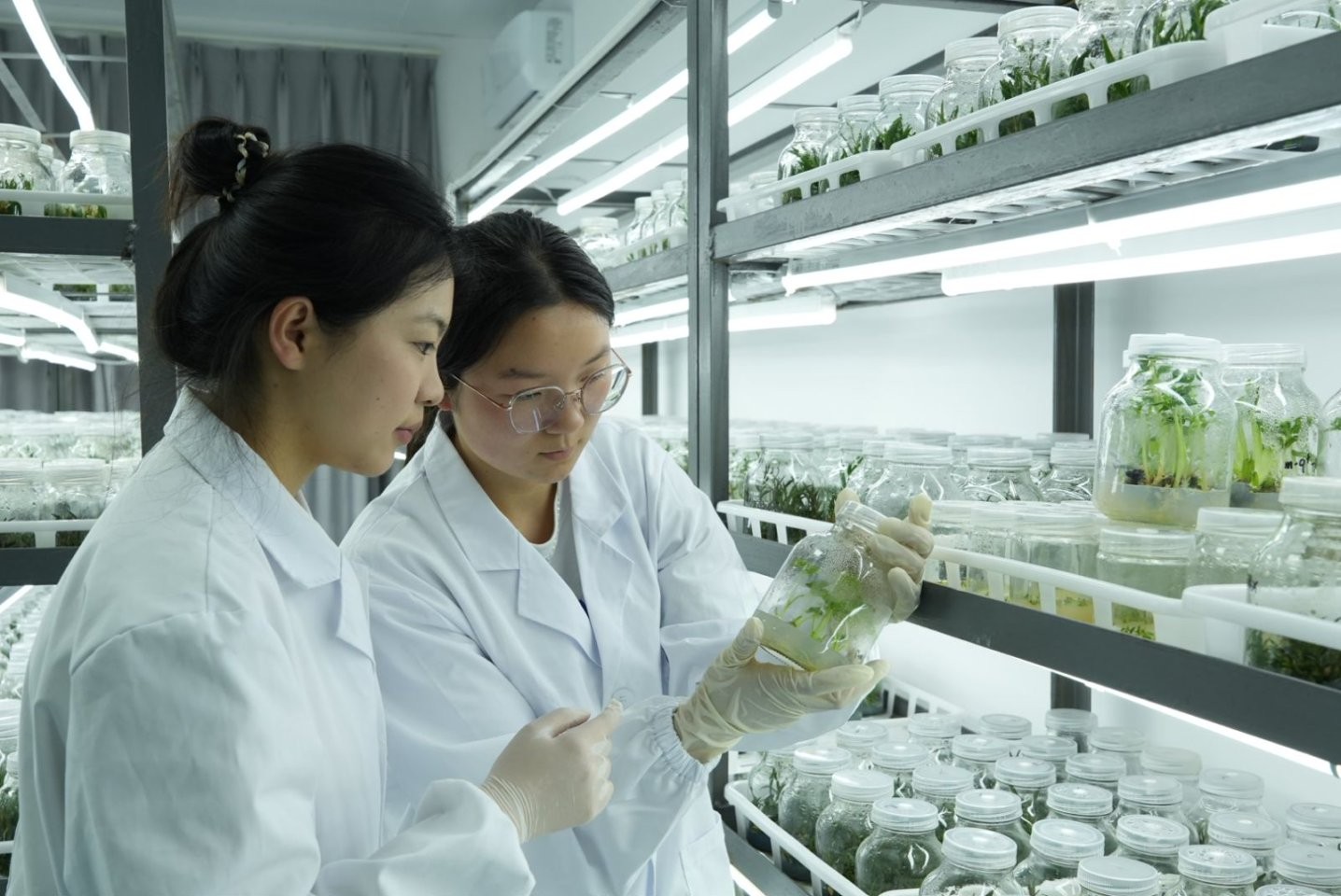 太上头了🤤,这个蘸料经管人研发的! 第 9 张 太上头了🤤,这个蘸料经管人研发的! 第 9 张