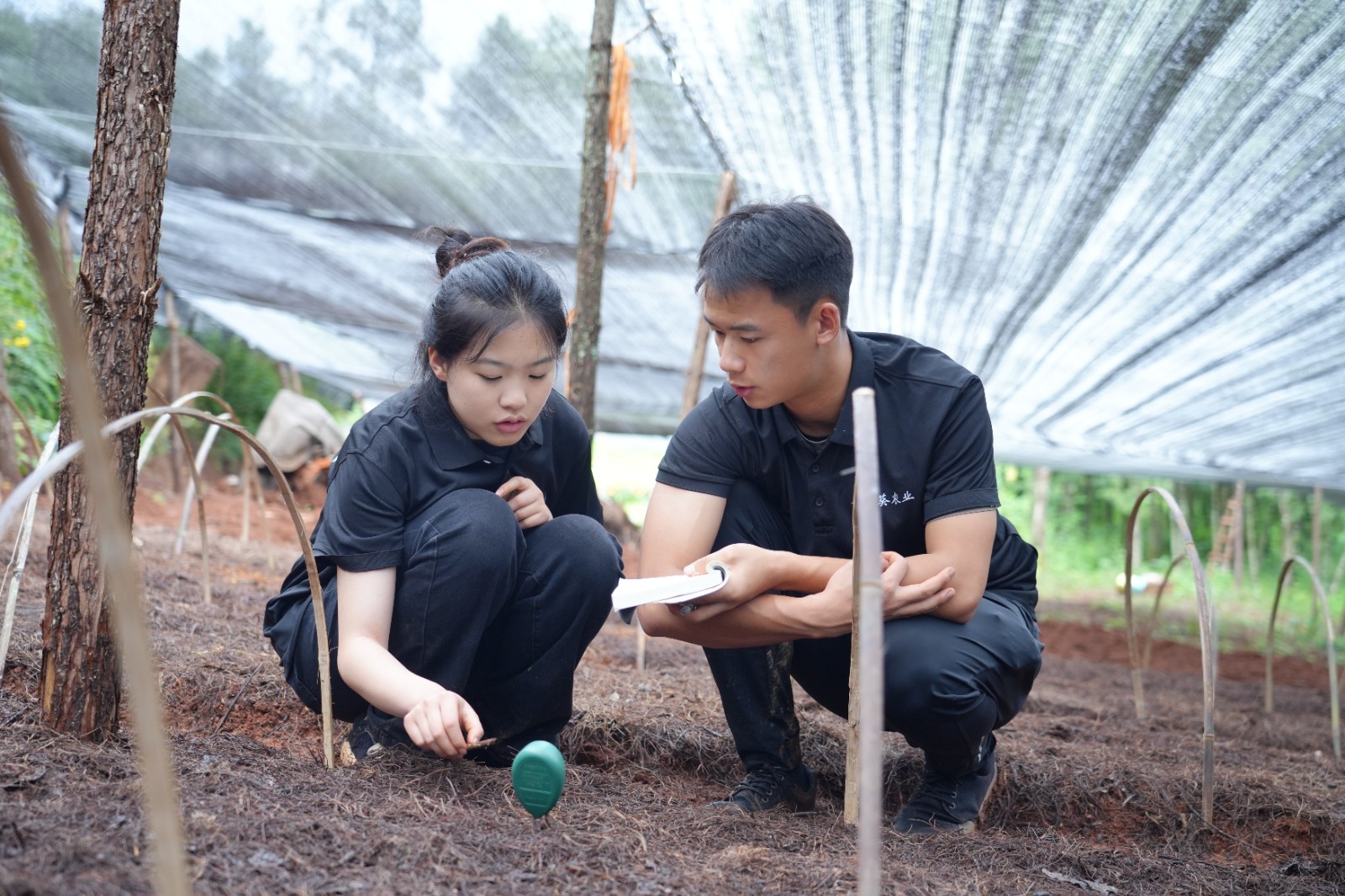 太上头了🤤,这个蘸料经管人研发的! 第 11 张 太上头了🤤,这个蘸料经管人研发的! 第 11 张