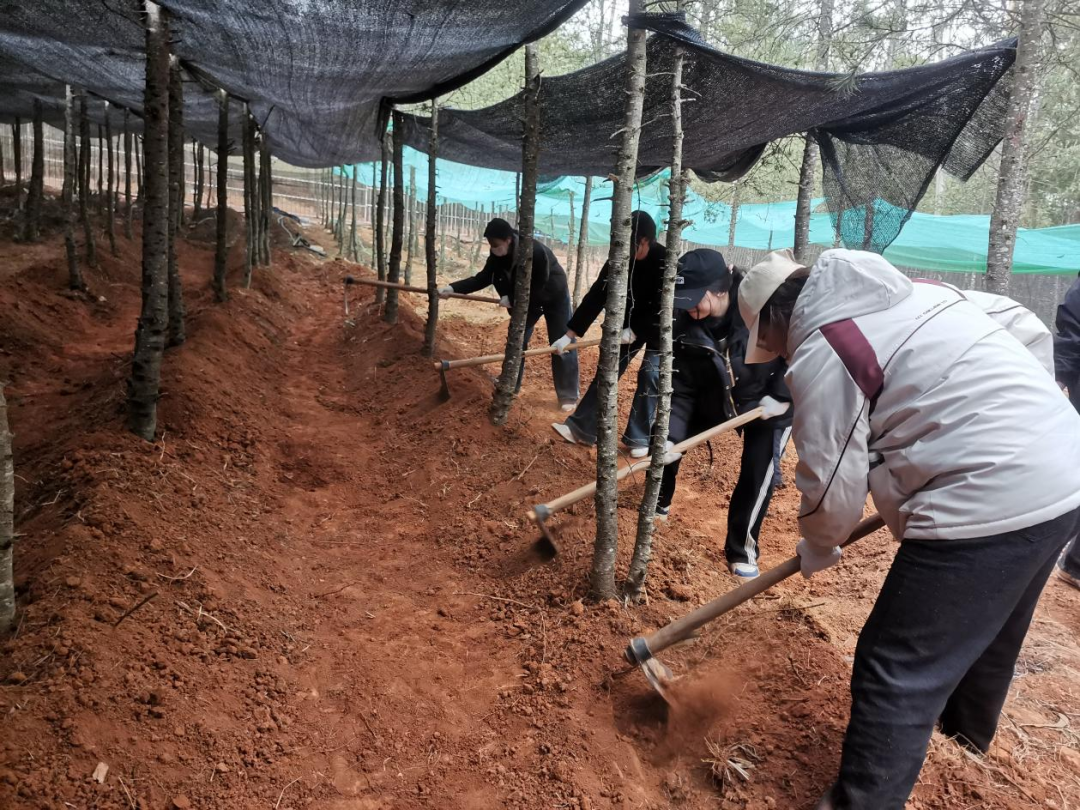 劳动赋能促成长 | 财会金融学院开展校外劳动实践活动 第 6 张 劳动赋能促成长 | 财会金融学院开展校外劳动实践活动 第 6 张