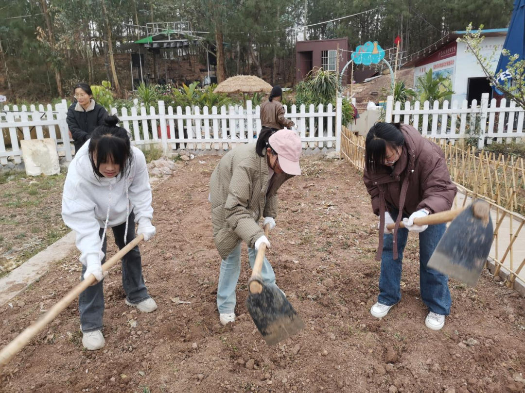 劳动赋能促成长 | 财会金融学院开展校外劳动实践活动 第 4 张 劳动赋能促成长 | 财会金融学院开展校外劳动实践活动 第 4 张