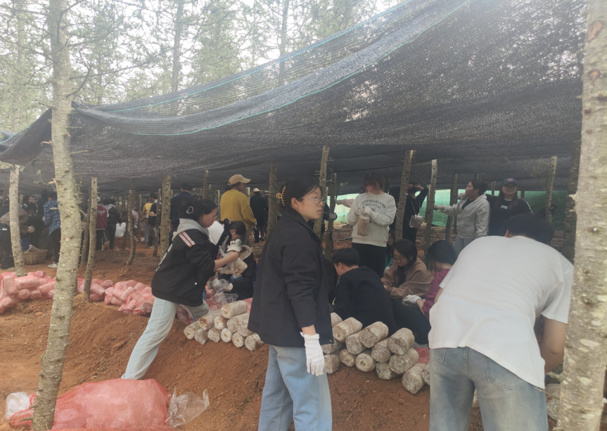 劳动赋能促成长 | 财会金融学院开展校外劳动实践活动 第 5 张 劳动赋能促成长 | 财会金融学院开展校外劳动实践活动 第 5 张