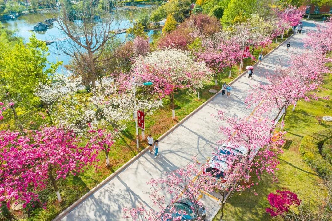 扶墙进，扶墙出！舌尖上的狂欢即将来袭！你准备好了吗？ 第 1 张