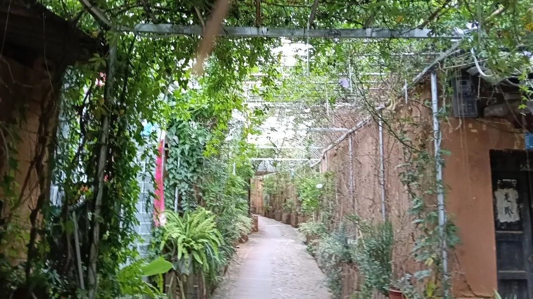 暑期社会实践｜高原上的牧民：寻找被遗忘的“喀卓”密码 第 5 张