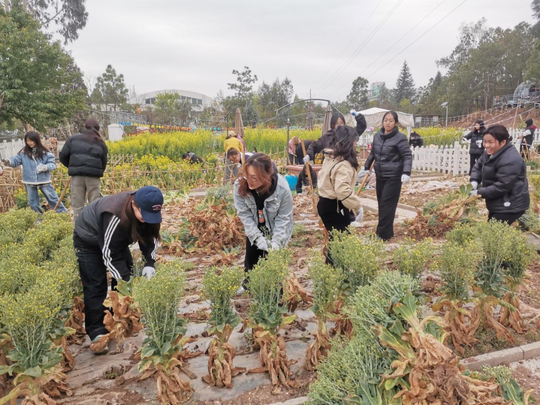 劳动赋能促成长 | 财会金融学院开展校外劳动实践活动 第 3 张 劳动赋能促成长 | 财会金融学院开展校外劳动实践活动 第 3 张