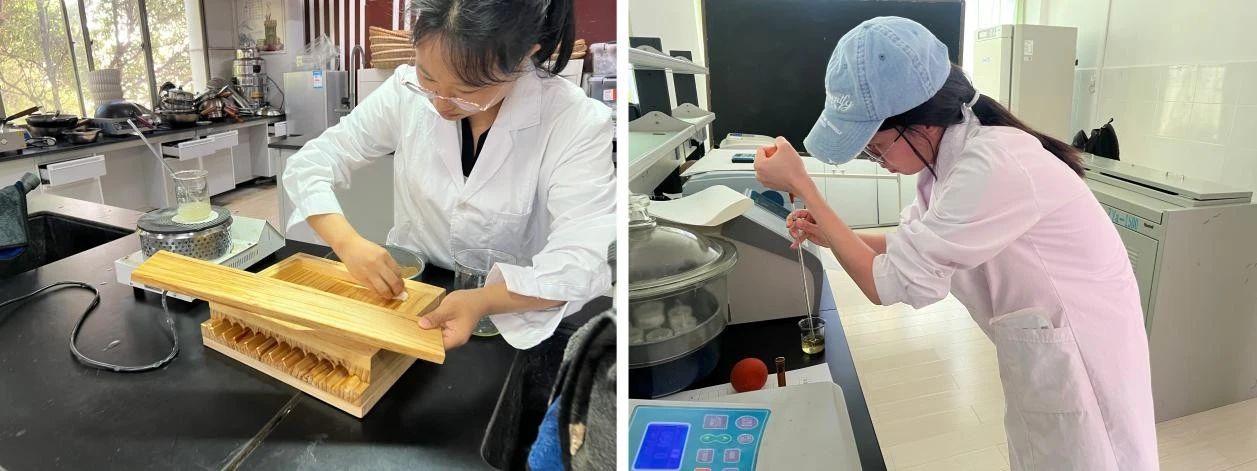 匠心淬炼百草香 多维考评严把关 ‌——云南经济管理学院医学院2021级中药学专业综合测试圆满落幕 第 3 张