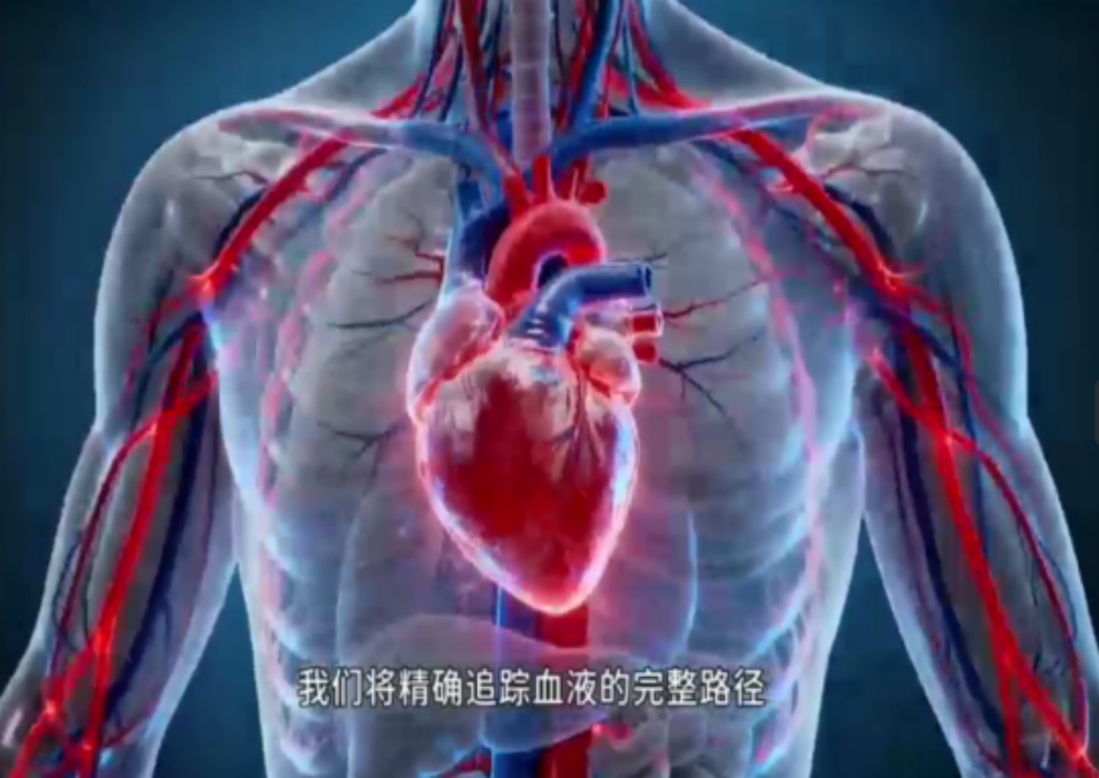 专业竞技|基础医学教研室成功开展《人体解剖生理学》人工智能创意设计初赛 第 4 张 专业竞技|基础医学教研室成功开展《人体解剖生理学》人工智能创意设计初赛 第 4 张