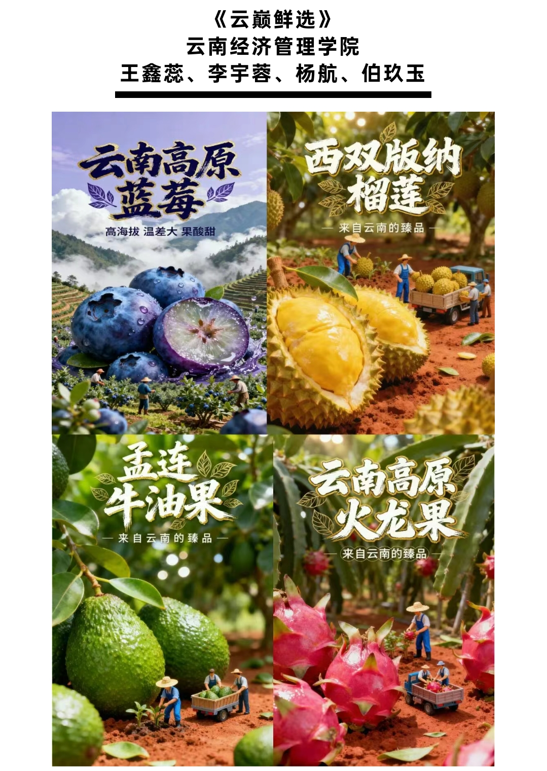 喜报！云经管学子在省市场监管公益广告活动中斩获佳绩 第 1 张